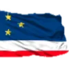 Video sticker 🏳️ БТ Other flags @...