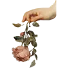 Sticker 🌸 грёзы муз • @literalina