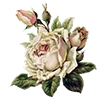 Video sticker 🌼 грёзы муз ...