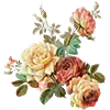 Sticker 🌼 грёзы муз • @literalina