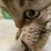 Video sticker 🤨 ل مهووس :: @...