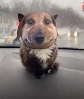 Video sticker 👅 Больше стиков тут: @stikery4