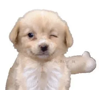 Telegram sticker 👍 Больше стиков тут: @stikery4