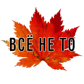 Sticker 🙅‍♂️ 3 сентября - поют все