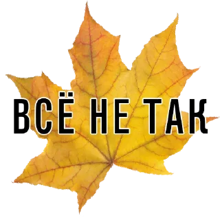 Video sticker 🙅‍♀️ 3 сентября - поют все