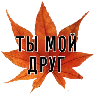 Video sticker 🤝 3 сентября - поют все