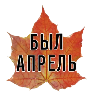 Телеграм стикер 🍃 3 сентября - поют все
