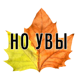 Телеграм стикер 🤷‍♀️ 3 сентября - поют все
