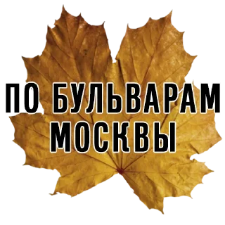 Телеграм стикер 🏙 3 сентября - поют все
