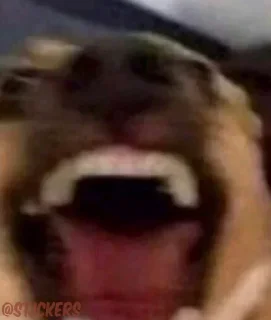 Telegram sticker 😂 @AboyzanI