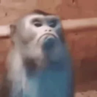 Video sticker 🌟 Video Favorite stickers :: @fStikBot