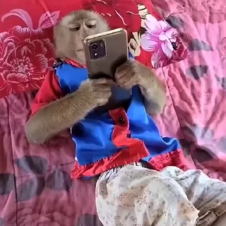 Video sticker 🫚 @mr_Hajim |شماره مجازی با کیفیت