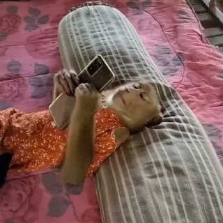 Video sticker 🫚 @mr_Hajim |شماره مجازی با کیفیت