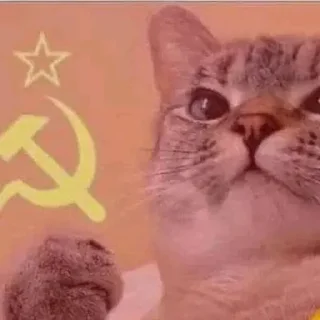 Telegram sticker 😼 Camaradas