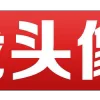 Video sticker 📱 更多图标 @EXEK...