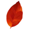 Sticker 🍂 AUTUMN от @stories_veis_sveta