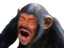 Video sticker 😡 El Risitas