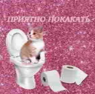 Video sticker 🤤 @VLAGA_STICK 👈 Там ВСЕ стикеры❤️