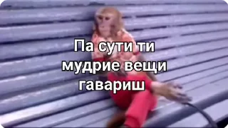 Video sticker 🌟 Манки by @s13onelove :: @fStikBot