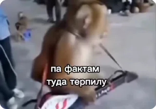 Video sticker 🌟 Манки by @s13onelove :: @fStikBot
