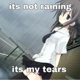 Sticker 🃏 ᐡ  ᴗ  ̫ ᴗ  ᐡ