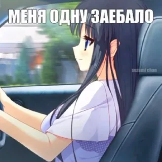 Video sticker 🗣 ᐡ  ᴗ  ̫ ᴗ  ᐡ