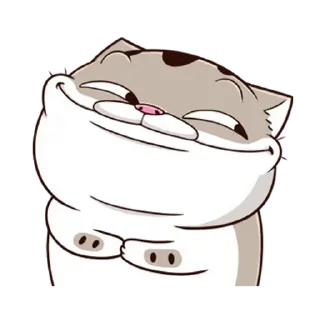 Video sticker 😊 阿咪Ami 13 俺到底在哪