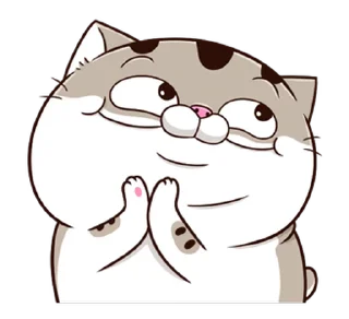 Video sticker 😊 阿咪Ami 13 俺到底在哪