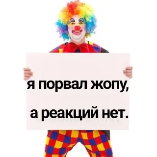 Video sticker ‼️ where реакции. | @siili_stickers :: @fStikBot