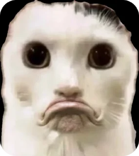 Video sticker ☹️ Петры Мива :3