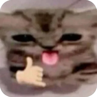 Video sticker 🫥 nyzo :: @fStikBot
