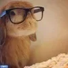 Video sticker 🤓 рандом @kawa...