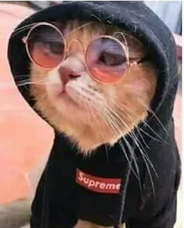 Sticker 🔥 @nobitaandshinchan's pack Vol.1