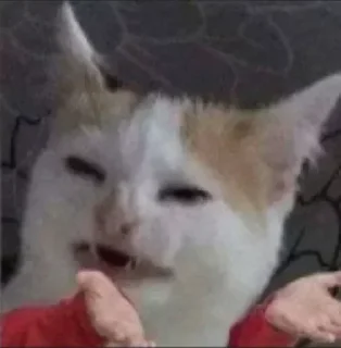 Video sticker 🔥 @nobitaandshinchan's pack Vol.1