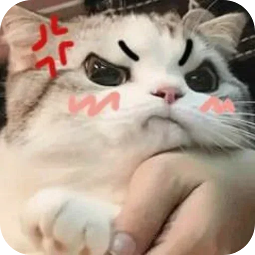 Телеграм стикер 😡 Professor :: @fStikBot