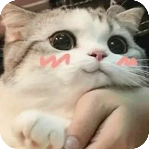 Телеграм стикер ❤ Professor :: @fStikBot