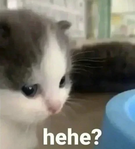 Telegram stiker 🙄 N𝙴𝚉𝚄𝙺𝙾𐀔