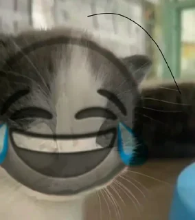 Video sticker 😂 N𝙴𝚉𝚄𝙺𝙾𐀔
