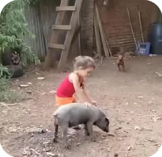Video sticker 😂 🤍✿℘ąŋʝų ɱıɬɬąi✿💛 :: @fStikBot