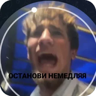 Телеграм стикер 👄 луки куки