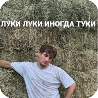 Video sticker 🌱 луки куки