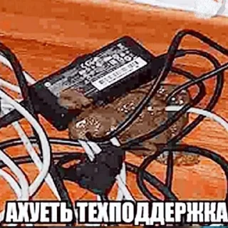 Telegram sticker 😳 ТУТ ЕЩЕ БОЛЬШЕ МЕМОВ 👇 @makkimous