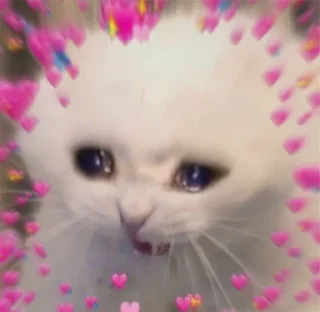 Video sticker 🥺 @AniPackBot استیکرساز😍