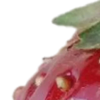 Telegram sticker ✨ 🍓 by @my_unrefined