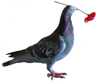 Sticker 💐 bird memes by loromoin
