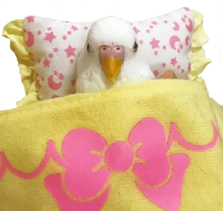 Telegram sticker 🛏 bird memes by loromoin