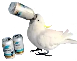 Telegram sticker 🍺 bird memes by loromoin
