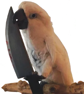 Telegram sticker 🔪 bird memes by loromoin