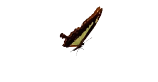 Telegram sticker © 𝗌𝗍𝗎𝗉𝗂𝖽 𝖺𝗇𝗂𝗆𝖺𝗍𝗂𝗈𝗇𝗌 𝖻𝗒 @formidaveI.