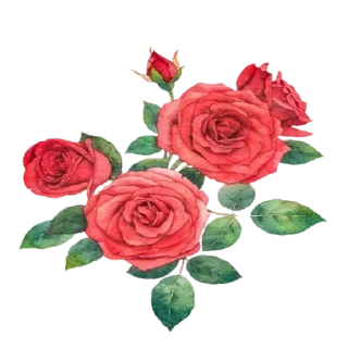 Telegram sticker ✍️ favoritoslab1